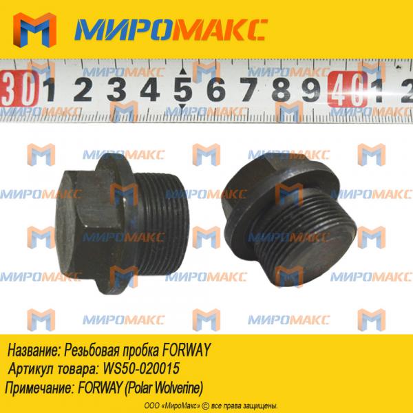WS50-020015, Резьбовая пробка Forway