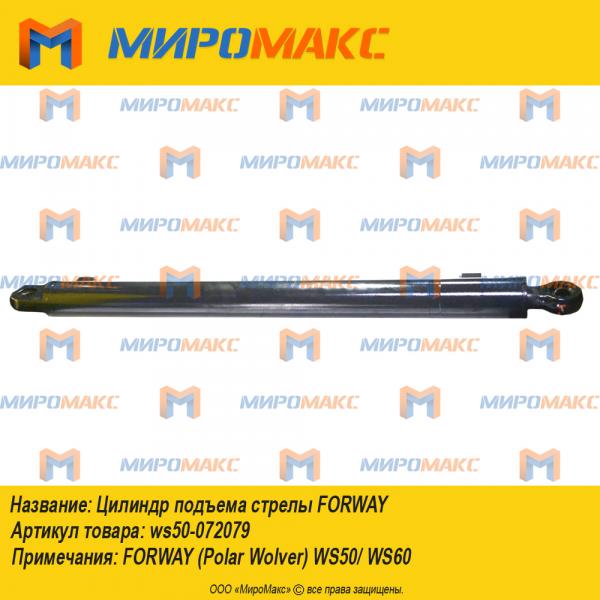 ws50-072079, Цилиндр подъема стрелы Forway